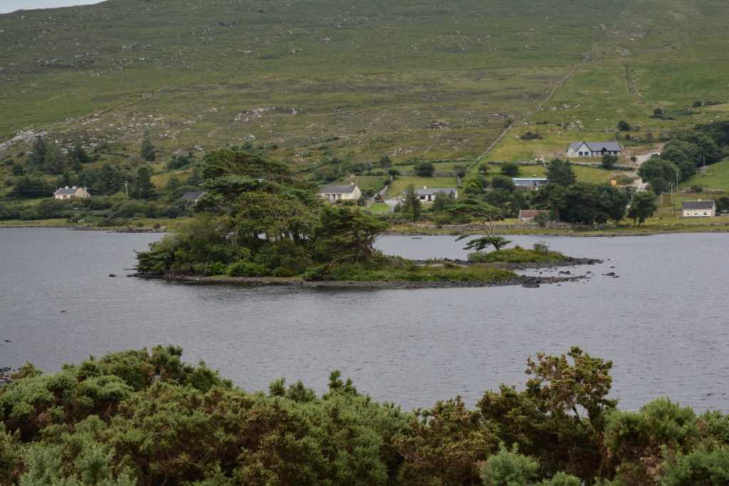 DSC_5664Mittel_.JPG